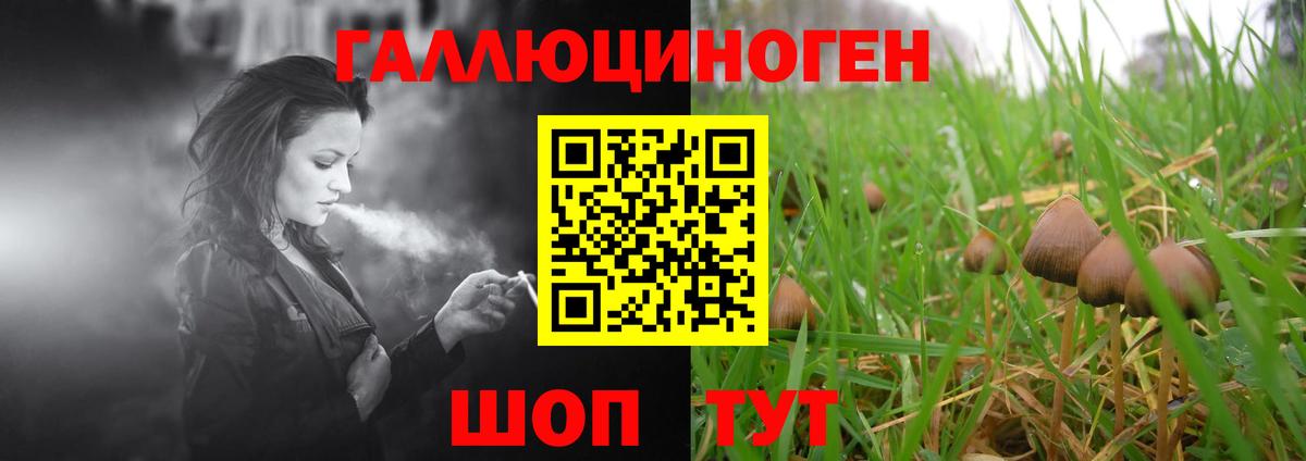 Первоуральск  Галлюциногенные грибы Psilocybe  Вход с VPN 